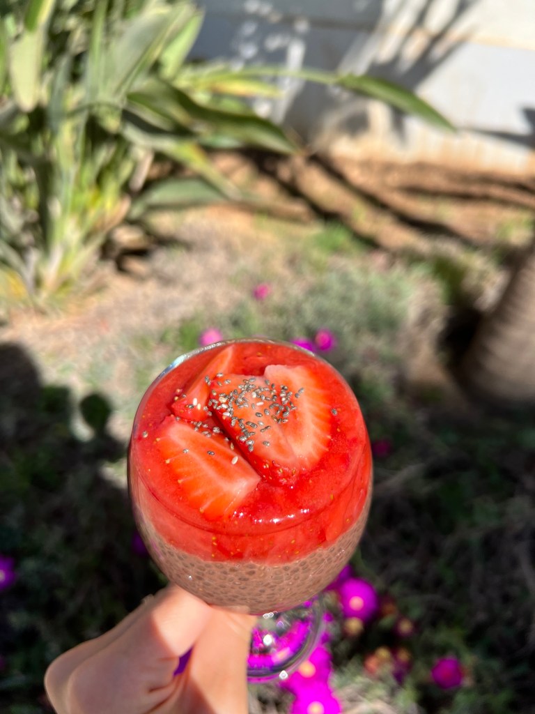 Vegan Chocolate Strawberry Chia Pudding